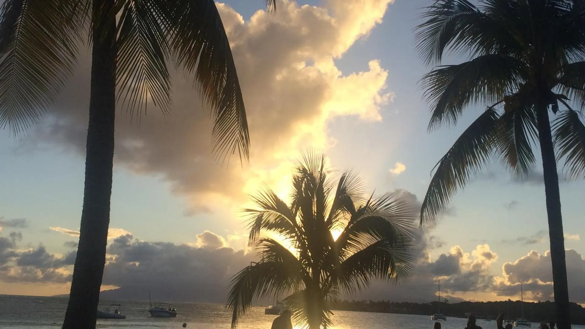 Les Pieds Dans L'Eau Face Au Lagon - Le Bel Instant Sainte-Anne  Appartement Sainte-Anne (Grande-Terre)